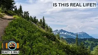 Skyline and Alta Vista Trail Guide: Experience Mount Rainier’s Best Hike