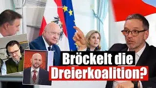 Mahrer wirft hin, &Ouml;VP im Schleudergang - Wir sprechen Klartext