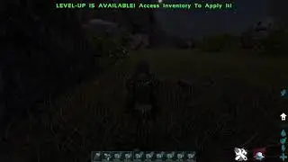 ARK Dino arena build