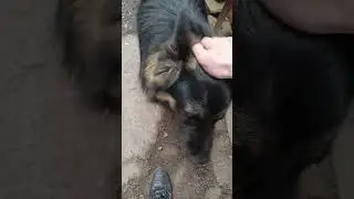 для помощи+79045334267 втб или т банк Руслан ш