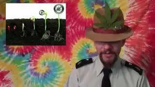 Mad PotCoins Last Year