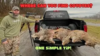 The Habitat Secret Most Coyote Hunters Miss