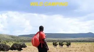 2  DAYS CAMPING AND BUSHCRAFTING WENT WRONG IN THE WILD JUDGLE OF ANIMALS