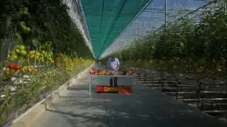 Vídeo de la empresa BelOrta