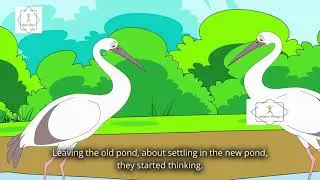 Story of a Turtle and two Armadillos