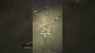 #machish 🫣🫣#experiment #trending #shortvideo🌄🌅 #sorts #video 🌄🌅