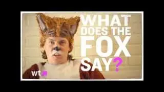 Funny Facts About Ylvis and 