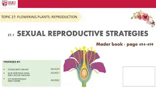 SEXUAL REPRODUCTIVE STRATEGIES