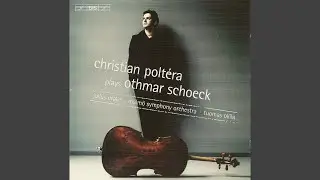 12 Eichendorff Lieder, Op. 30: No. 3, Winternacht (Arr. C. Poltera)