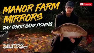 ⭐MANOR FARM MIRRORS / DAY TICKET FISHING #carp #fishing #angling #fishingsimworld #trophycatch #fyp