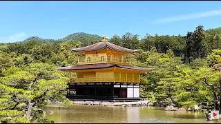 Japan Kyoto und Goldener Pavillon May 2024 #kyoto  #nihongo #goldenpavilion 