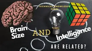 brain size intelligence are related?| brain size & intelligence related hai | history of human brain