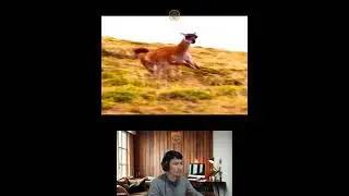 Amazing Animal Growth Journey #animals #funny #cute