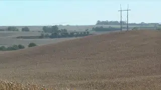 Farm Stress And Suicide