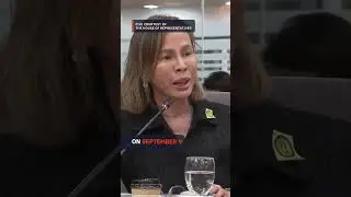 DPWH undersecretary Cabral resigns amid budget insertion allegations