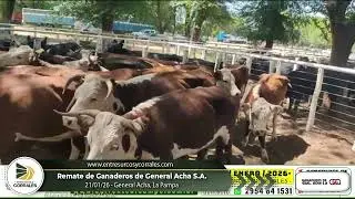 21-01-26 - Remate de Ganaderos de General Acha S.A. -  La Pampa