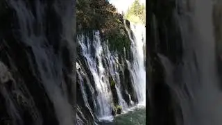 Cascading Waterfall | Rainbow Sighting #shorts #nature