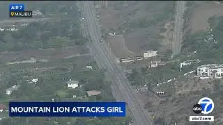 Mountain lion attacks 11-year-old girl in backyard of California home