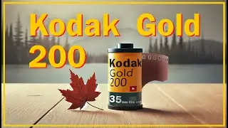 Kodak GOLD 200 : Meilleure pellicule 35mm pour voyager ?