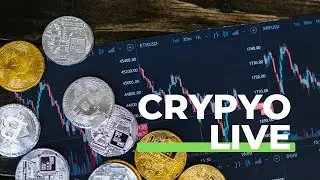 Bitcoin Gold || Bitcoin Gold live Stream || SARAL TRADE ROOM