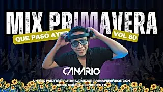 QUE PASÓ AYER VOL 80 “MIX PRIMAVERA🌻” DJCANARIO (MALDITA PRIMAVERA, LA PLENA, FLORES AMARILLAS, ETC)
