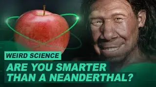 Are You Smarter Than a Neanderthal? | Weird Science