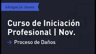 Curso Iniciación Profesional 2025 - Proceso de Daños