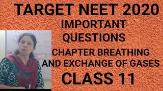 NEET IMPORTANT QUESTIONS/CHAPTER-BREATHING AND EXCHANGE OF GASES /CLASS11