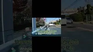 【県道293号】NGカット#shorts