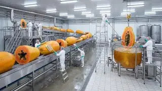 Inside a Papaya Factory: The Full Farm-to-Table Process