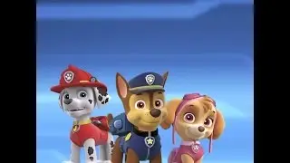 Paw Patrol Video Birthday Invitation