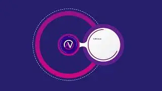 AVO Studio Infographics Animation
