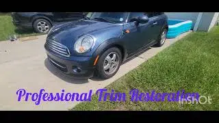 Professional Trim Restoration by Strong World!