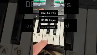 How to Fix A Digital Keyboard with &lsquo;Dead&rsquo; Keys / Notes with no Sound #howto #asmr #casio #yamaha