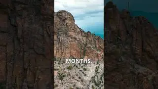 How To Survive In Tucson Arizona!