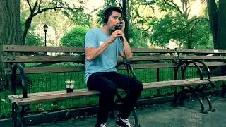 Park Tour - Madison Square (NYC) by Boy Pierce
