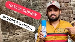 Ratava supray | Animal health care | #madicine #vet pharmacy popular 