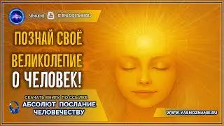 Познай своё великолепие, о человек! 11 ✨ | АБСОЛЮТ | Елена Сидельникова