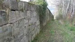 Klostermauer Teistungenburg