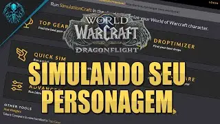 How to Simulate Your Character! - WoW Dragonflight