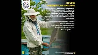 Unlock the secrets of the hive with our Ambrosia Beekeeping Courses