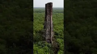 178 year's old abandoned lighthouse in coringa mangrove forest , kakinada .
