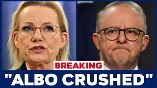 3 MIN AGO‼️ Albanese PANICS as Sussan Ley Signs PETITION for his RESIGNATION after shocking MISTAKE