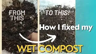How to fix wet & smelly kitchen waste compost| Worms and Maggots in Compost| #asmr #organicgardening
