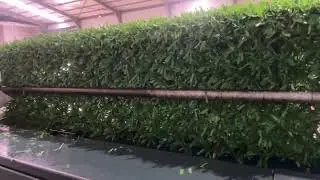 #&ccedil;im&ccedil;it #grassfence #grassfencemachine #fencewire #fence #fencemachine +905559950565