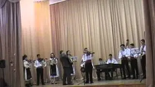 dan bruma  vioara