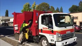 Isuzu Wayne Tomcat MSL on Litter Bins -Garbage Truck