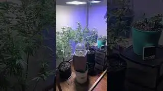 Build your own grow room #EducationalPurposesOnly ￼
