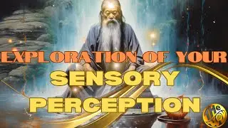 Expand Your Senses: The Journey of Unlimited Potential Experience by The Way 126