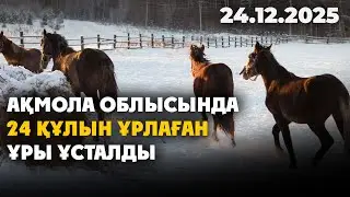 Ақмола облысында біреудің 24 құлынын ұрлаған ұры ұсталды | 24.12.2025 - Күндізгі жаңалықтар